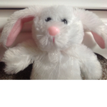 Little bunnies