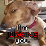 I'm judging you.