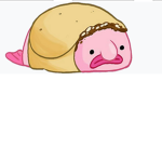 Taco Fish