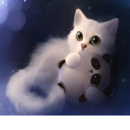 Cat Obby