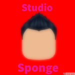 Studio Sponge