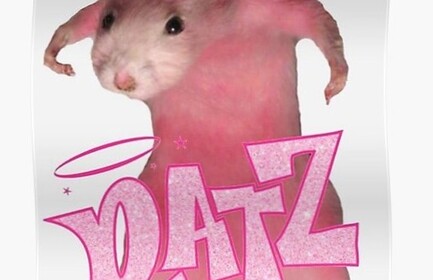 RAT INVASION