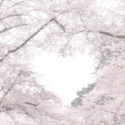 ✿