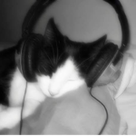 I just love cats