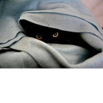 Youtube_AppealsCat