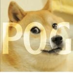 the doge of pog