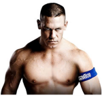 Fans or Not Fans : WWE