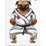 Official prairie ninja group