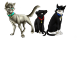 ######## or ###########