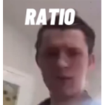 fr ratio