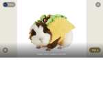 GUiNEp PigS
