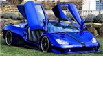 Sport Car Lovers