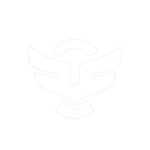 SkyForge Project Team
