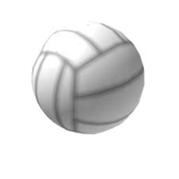 Volleyball Beach (For Show)