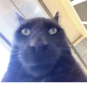 Tower of Unfavorable Judgement