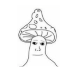 The Nub Comunity