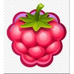 #raspberry squad