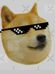 Doge money gang