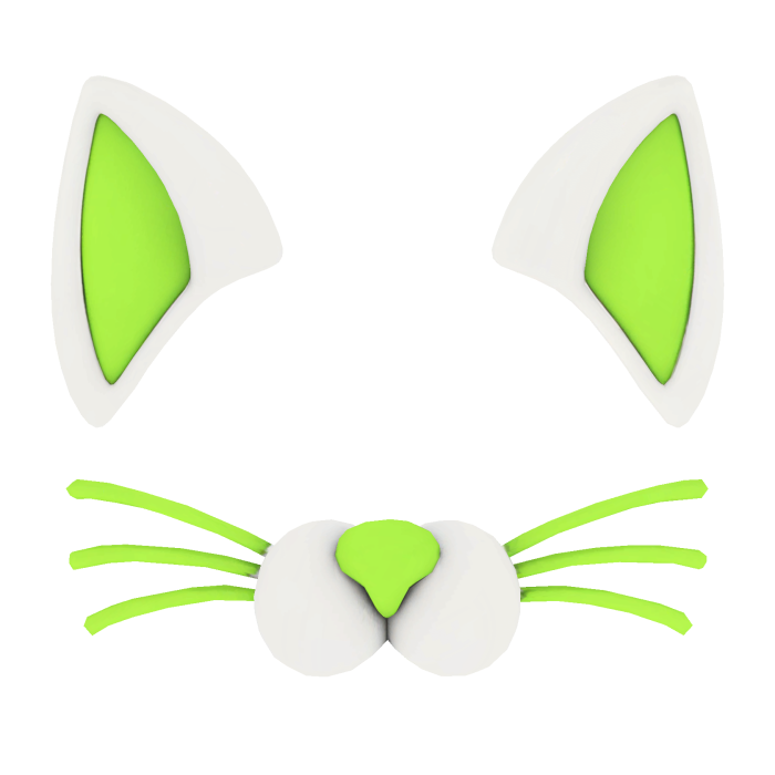 cat filter