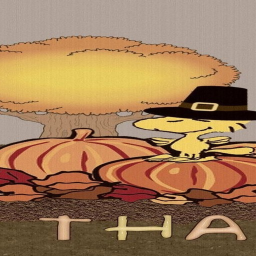🍂🦃🍂