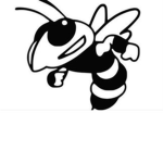 Hornet Playz