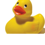 Robert ducky hang out
