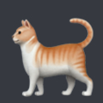 H MEOW H