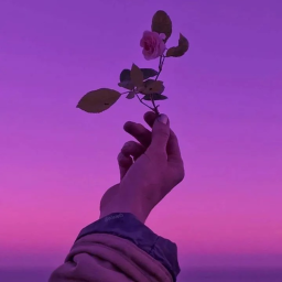 Aesthetic Vibe