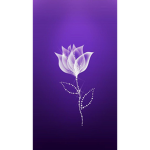 UnknownPurple