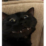 When the o////o