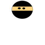 TheProProNinjas
