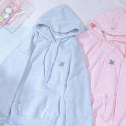 ୨♡୧