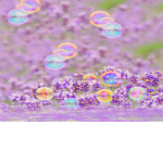 Bubbly Bubble Bubbles