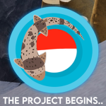 Oceanic seas Project