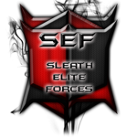 Combat Strike Team