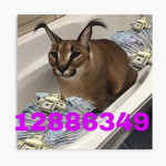 FLOPPa CASH