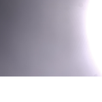TRXPBHXBIES