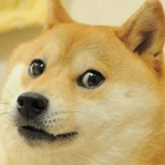gamers doge