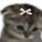 rxseyroblox27