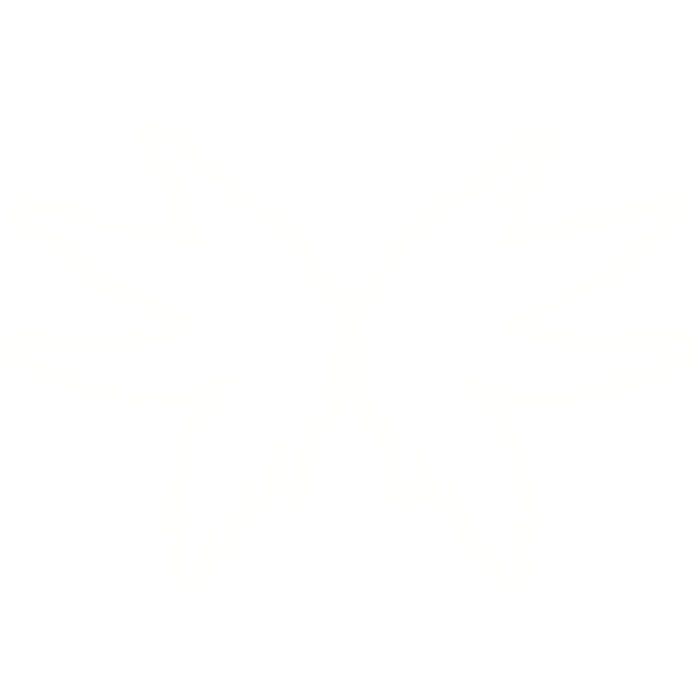 [EMISSIVE] GLOWING ANGEL WINGS