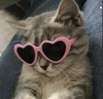 girlfwnd