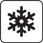 The Winter Team