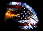 Us Confederacy For Freedom!