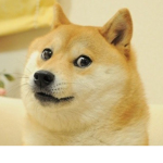 Doge United doge