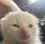 PoopyStank