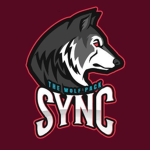 DanSyncYT Official Group