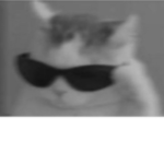 kingjroopy FBI