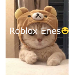 YTBR_Kedi'nin clubü