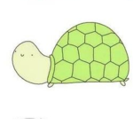 Turtles are da best!