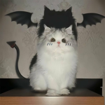 DakotaOrNot